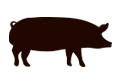 Les Delices Campagnards Cochon Porc